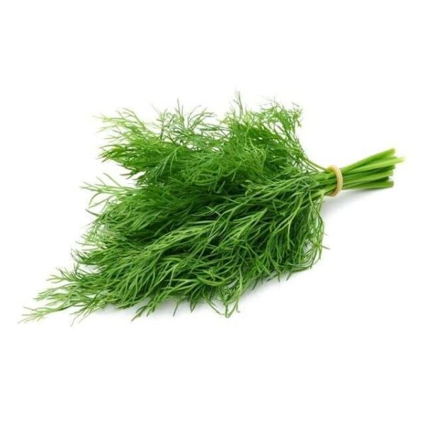 Organic Dill 50gr