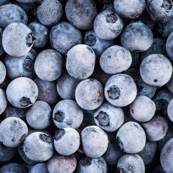Frozen Blueberries 500g