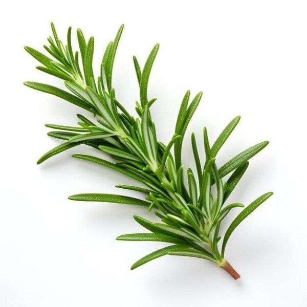 Organic Rosemary 50gr