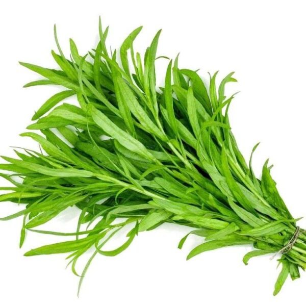 Organic Tarragon 50gr