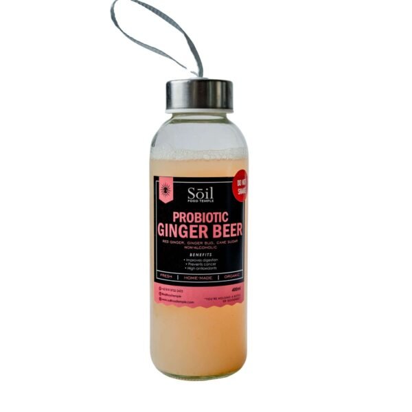 Soil Temple Probiotic Ginger Beer 400ml