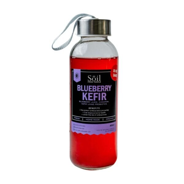 Soil Temple  Blueberry Kefir 400ml