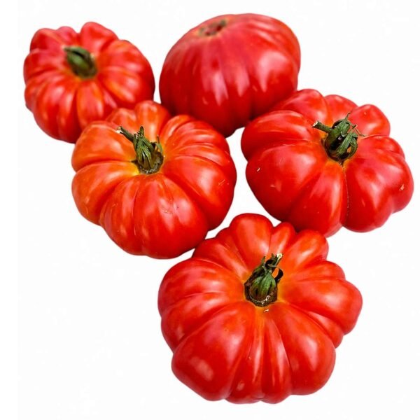 Organic Ranti Tomatoes