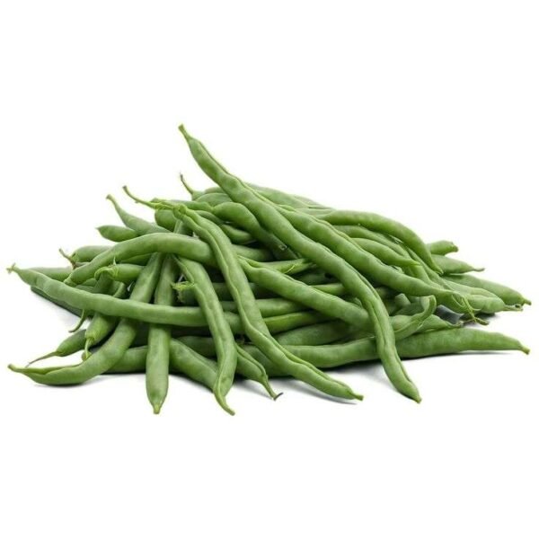 Organic Green Bean