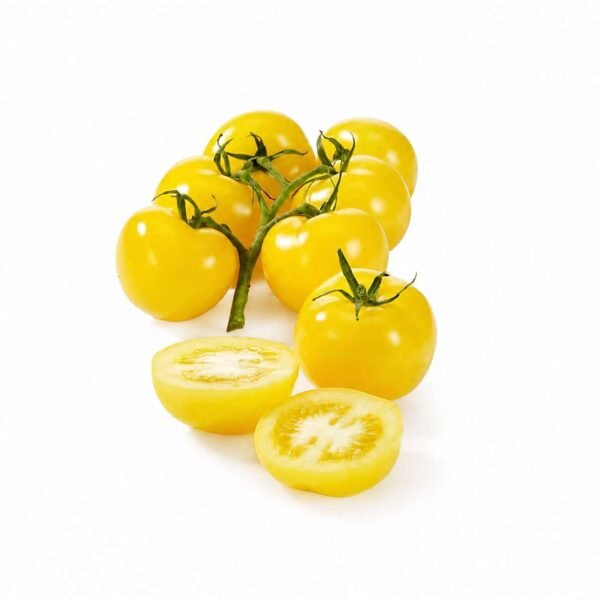 Yellow Tomato Cherry
