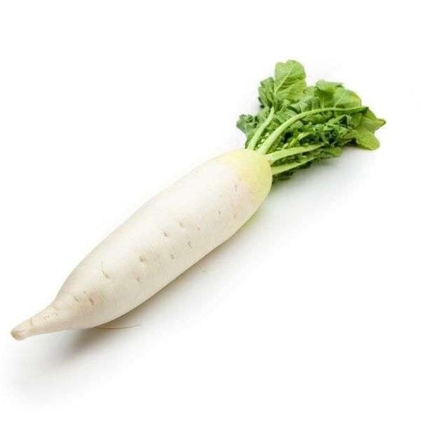 Organic Daikon