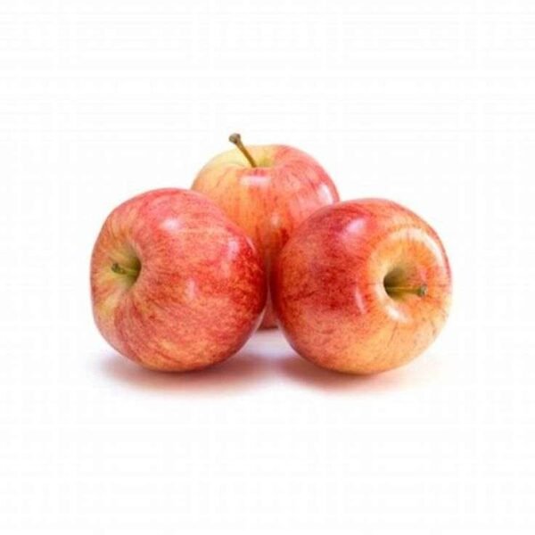 Organic Apple Malang