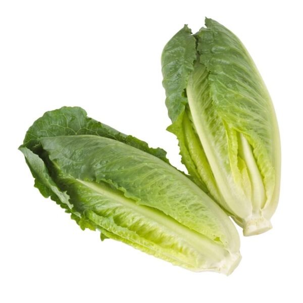 Organic Romaine