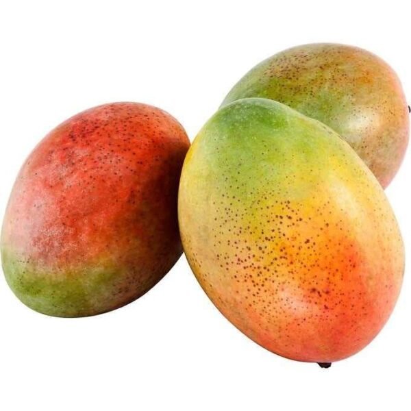 Organic Mango Brazil