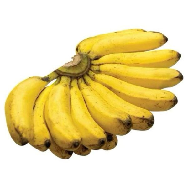 Organic Milk Banana