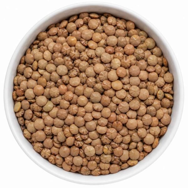 Brown Lentil 500Gr