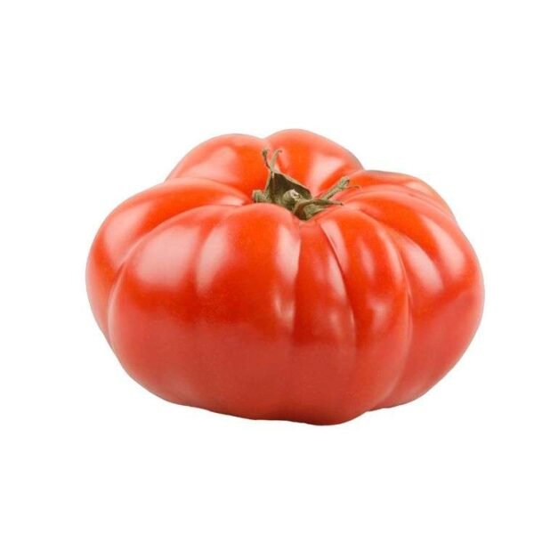 Organic Beef Tomato