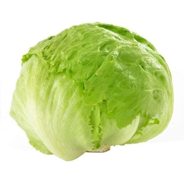 Organic Iceberg Lettuce