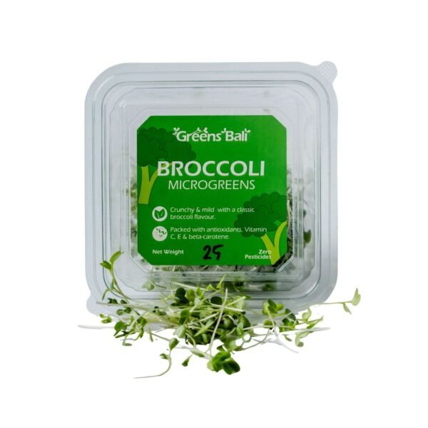 Brocoli Sprout Microgreen 25gr