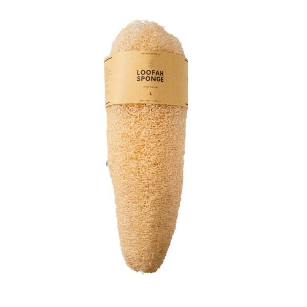 Loofah Sponge