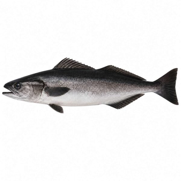 Black Cod Fillet 200gr