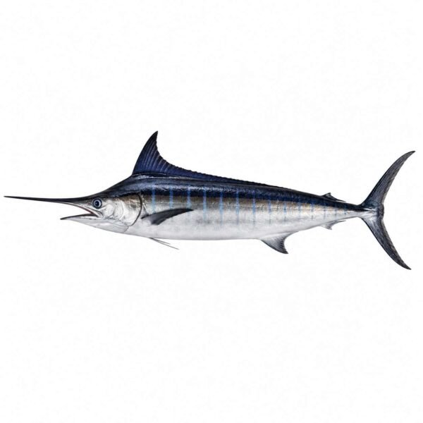 Smoked Marlin 100gr