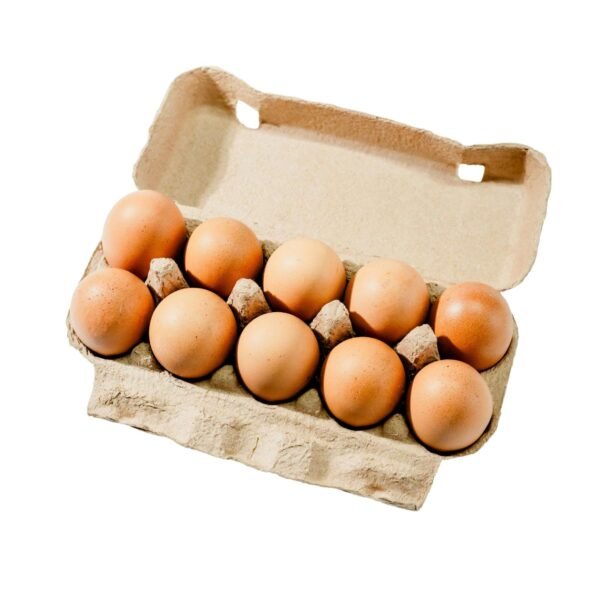Eggs Large Free Range 10pcs