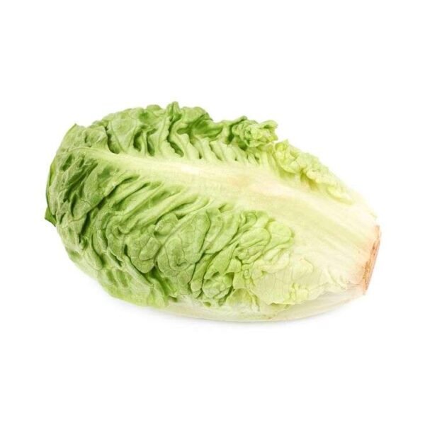 Organic Romaine 500gr