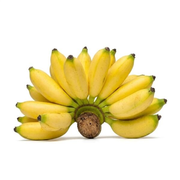Banana One Bundle