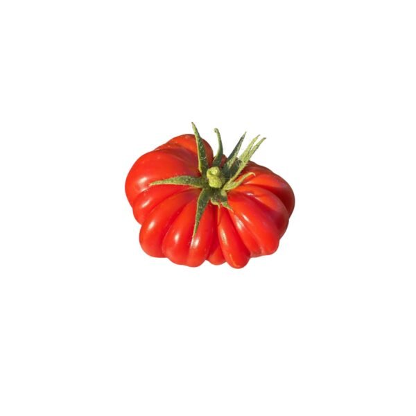 Organic Ranti Tomato 100gr